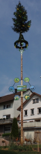 maibaum2011