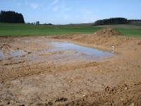 Flurneuordnung - Flur/Regenüberlaufbecken 2007