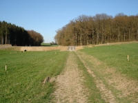 Flurneuordnung - Flur/Regenüberlaufbecken 2007