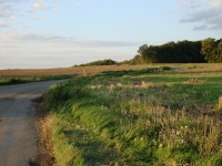 Flurneuordnung - Entstehung Straße Windischbuch 2006-2007