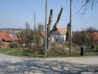 Flurneuordnung - Schlossgartenstraße/Schulweg 2007