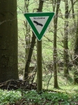 Doline am Hohlerberg