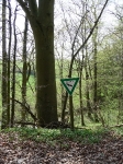Landschaft