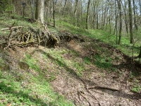 Landschaft