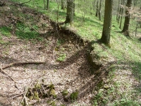 Doline am Hohlerberg
