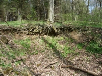 Doline am Hohlerberg