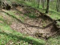 Doline am Hohlerberg