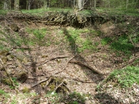 Doline am Hohlerberg