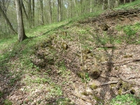 Doline am Hohlerberg
