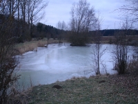 See Hardt - Hundesee