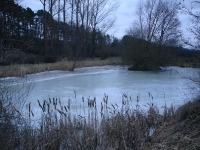 See Hardt - Hundesee