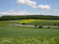 Landschaft
