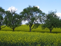 Landschaft