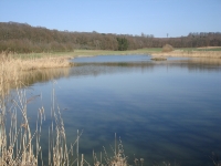 Landschaft