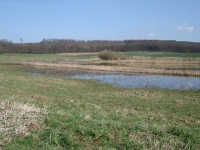 Landschaft