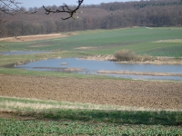 Landschaft