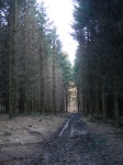Landschaft