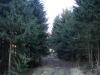 Landschaft