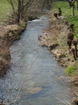 Landschaft