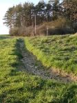 Landschaft