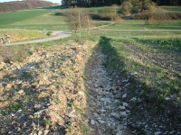Landschaft