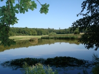 Landschaft