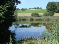 Landschaft