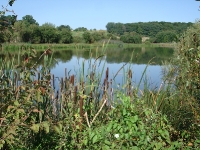Landschaft