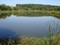 Landschaft