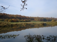 Landschaft