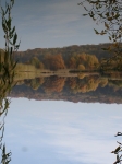 Landschaft