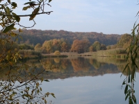 Landschaft