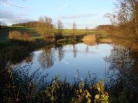 Landschaft