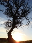 Landschaft