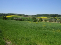 Landschaft