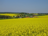 Landschaft