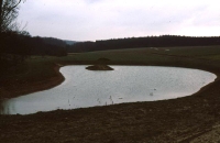See Hardt - Hundesee - Entstehung