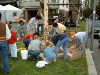 Maibaum 2004