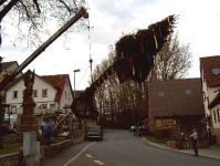 Maibaum 2004
