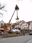 Maibaum 2004