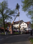 Maibaum 2002