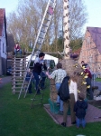 Maibaum 2002