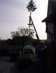 Maibaum 2002