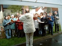 Maibaum 