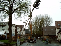 Maibaum 2003 