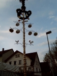 Maibaum 2003