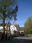Maibaum 2005