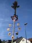 Maibaum 2005