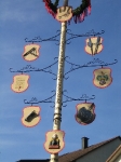 Maibaum 2005