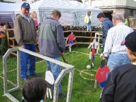 Maibaum 2006 